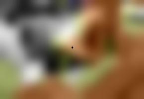 国产欧美视频在线观看,在线观影新体验